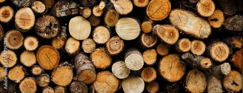 Firewood background material.                    