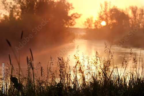 Dawn on the lake. The sun in the fog above the water and grass on the shore. 