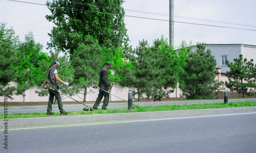 Workers mow grass with lawn mowers. Workers mow grass with lawn mowers.