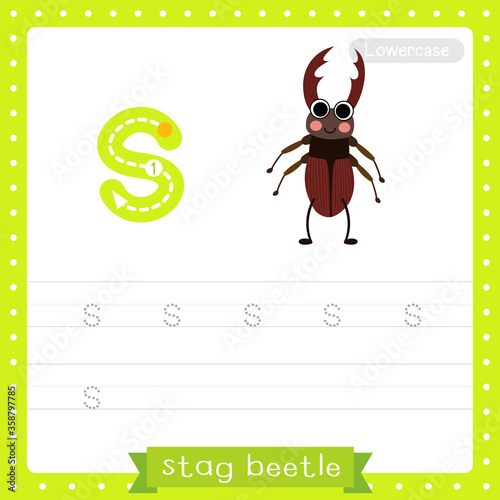 Letter S lowercase tracing practice worksheet of Stag Beetle