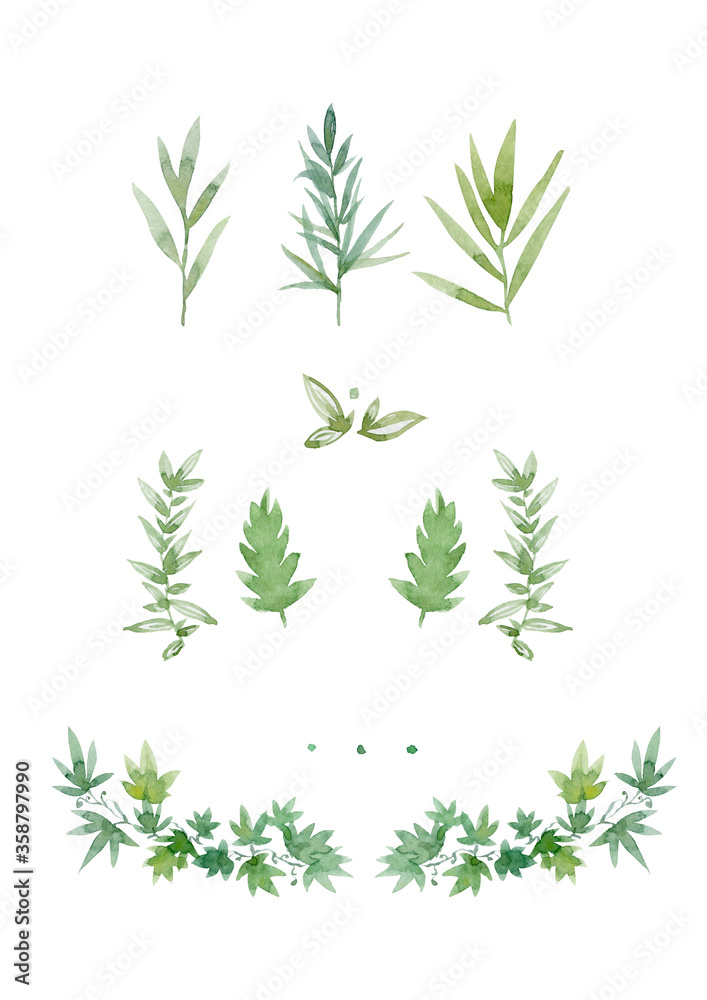 Set of green leaves on a white background. Hand drawn watercolor illustration