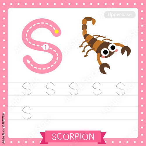 Letter S uppercase tracing practice worksheet of Scorpion photo