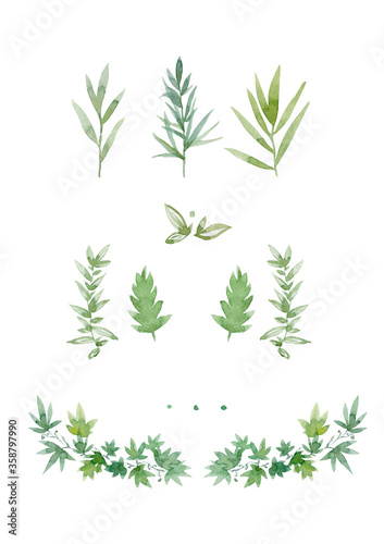 Set of green leaves on a white background. Hand drawn watercolor illustration