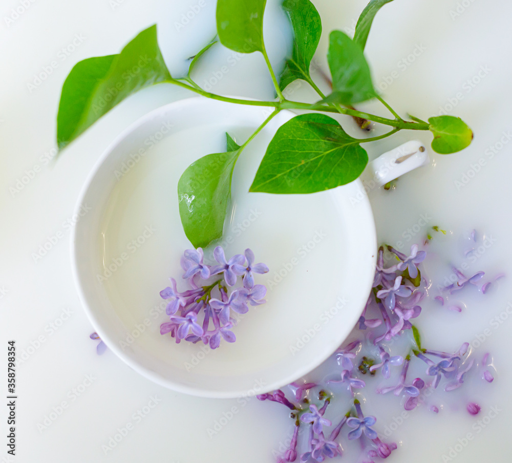 milk bath with lilac flowers. creative minimalistic concept of relax. top view. milk bath with lilac flowers. creative minimalistic concept of relax. top view.