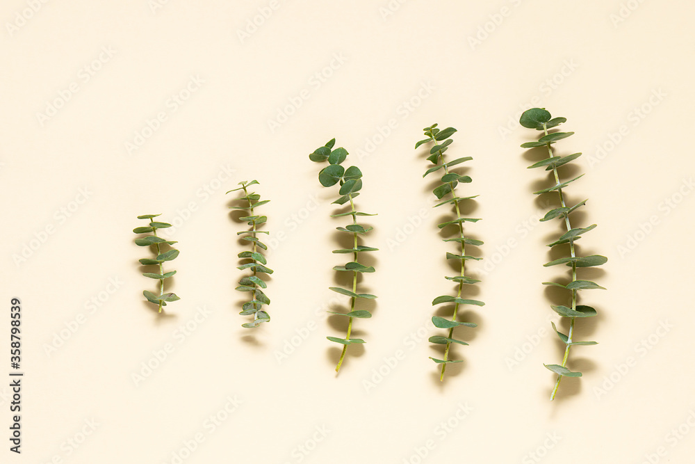 Different green eucalyptus twigs on light background. Growth concept. Minimalism style composition. Different green eucalyptus twigs on light background. Growth concept. Minimalism style composition.