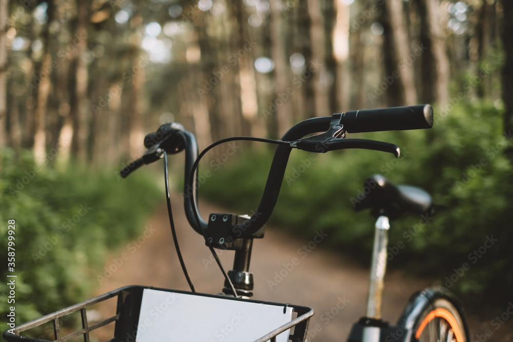 Bicycle on a forest path, active lifestyle, outdoor sports.