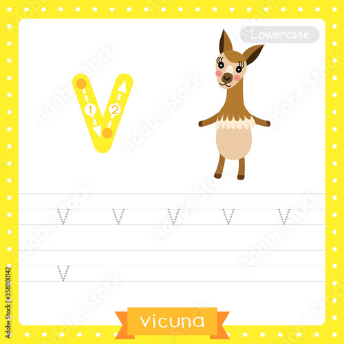 Letter V lowercase tracing practice worksheet of Vicuna
