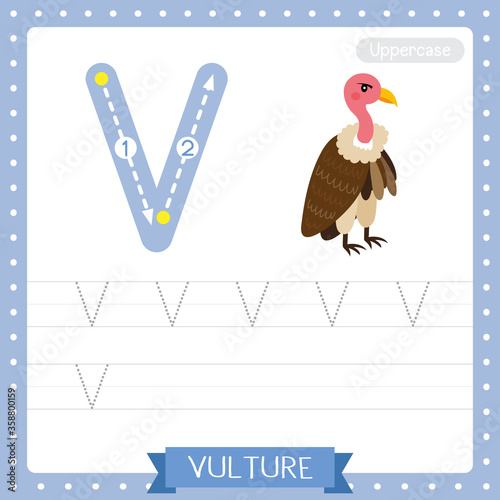 Letter V uppercase tracing practice worksheet of Vulture bird