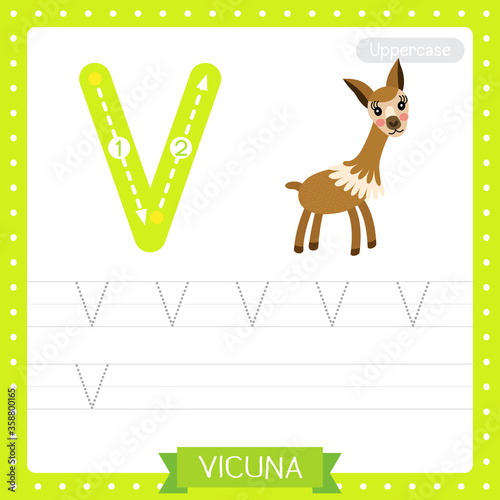 Letter V uppercase tracing practice worksheet of Vicuna