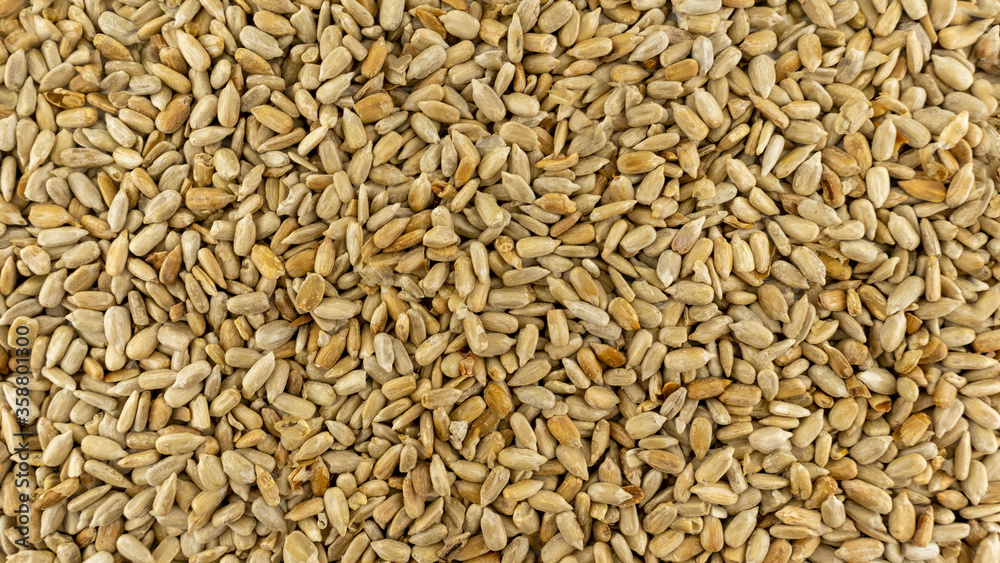 food background in the form of peeled sunflower seeds food background in the form of peeled sunflower seeds