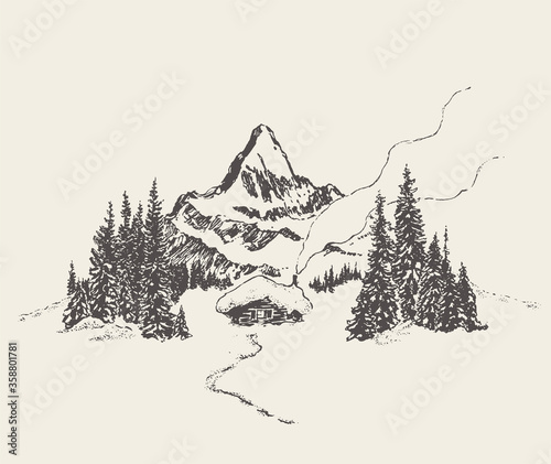 Beautiful cozy house mountain fir forest vector