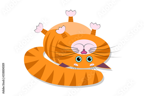 A cute cartoon red fat cat, kitty lies on its back and looks straight. Vector isolated