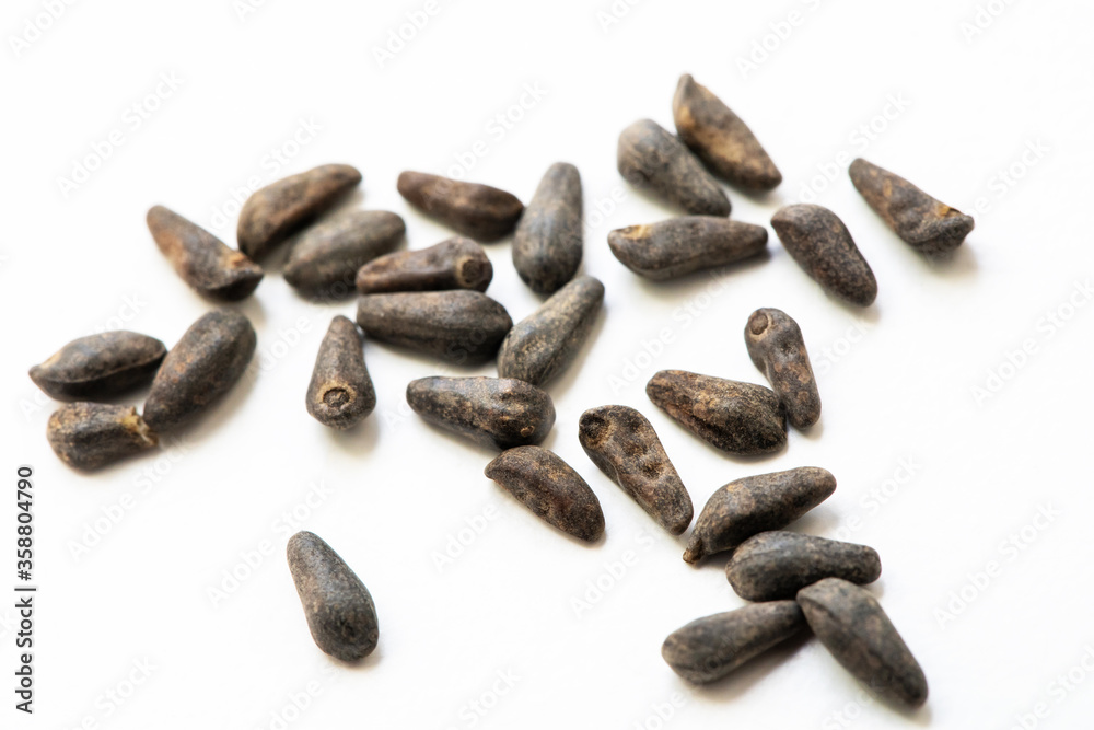 Ipomoea flower seeds isolated on a white background, top view. Ipomoea flower seeds isolated on a white background, top view.