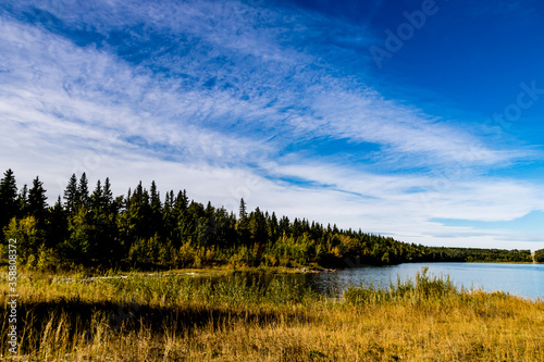 Along the shore line of the lake. Gleniffer Lake Provincial Recreation Area, Alberta, Canada