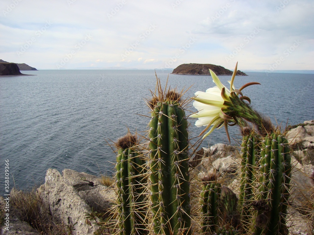 View from Capachica-peninsula to Ticonata Island