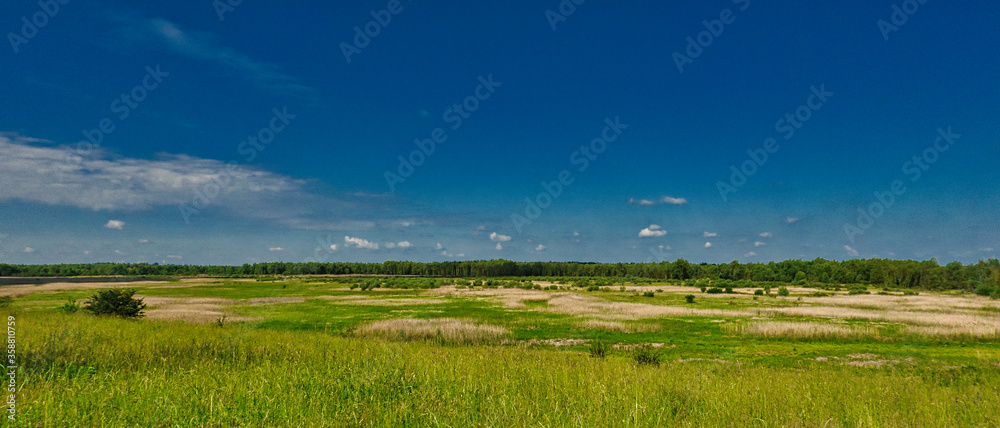 WIDOK NA ROZLEGŁĄ ŁĄKĘ. PANORAMA WIDOK NA ROZLEGŁĄ ŁĄKĘ. PANORAMA