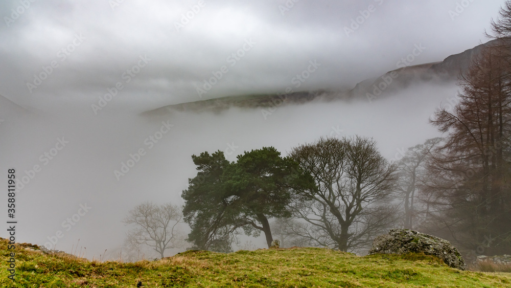 misty morning in the mountains, Pistyll Rhaeadr,  Y Berwyn National Nature Reserve, Wales, United Kingdom, Europe