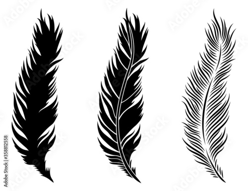 Set of  feathers. Сollection of silhouettes of stylized feathers of a fluffy bird ostrich, dove, goose. Symbol of lightness, innocence and poetry. Vector illustration a white background.