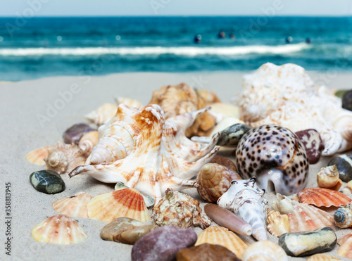 Seashells, sea stars, coral and stones on the sand, summer beach sea background travel concept.