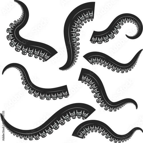 Set of octopus, squid tentacles  in engraving style. Design element for logo, label, emblem, sign, badge. Vector illustration photo