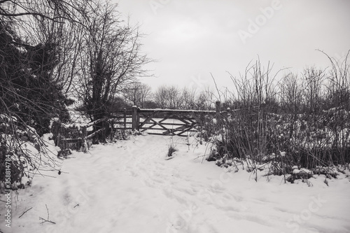 Snow covered gates on farmland in black and white