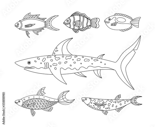 Vector collection of illustration of sea and water fishes. Modern templates with outline elements in linear black and white style.