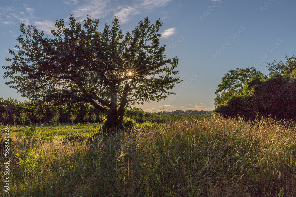 Natur pur Natur pur