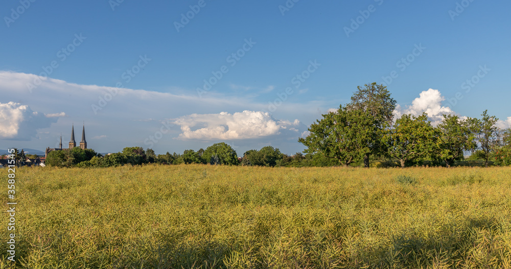 Felder um ein Dorf herum im Sommer Felder um ein Dorf herum im Sommer