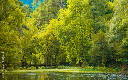 Trees in the park during early autumn period