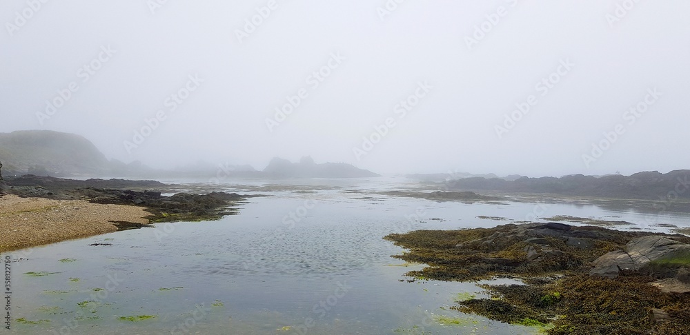 fog over the river