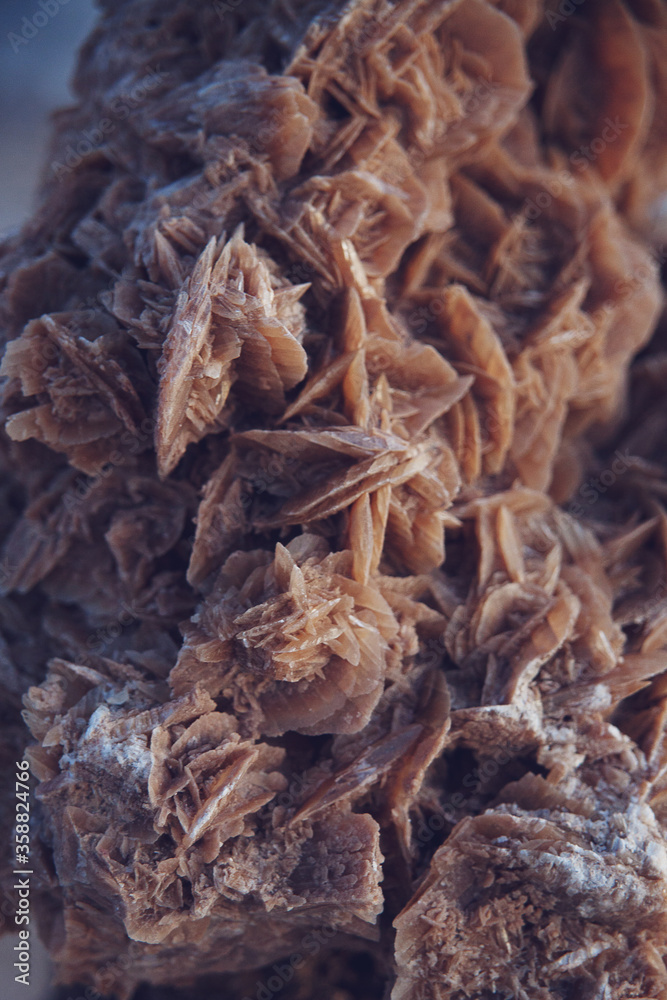 Sand roses from the Tunisian Sahara Sand roses from the Tunisian Sahara