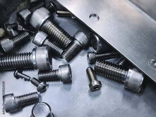 Various Sizes of Stainless Steel Socket Head Screw in Metallic Drawer