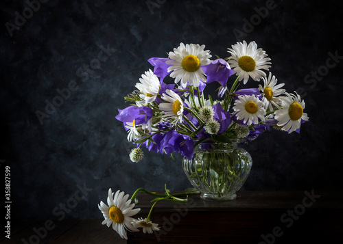 Image with daisies.