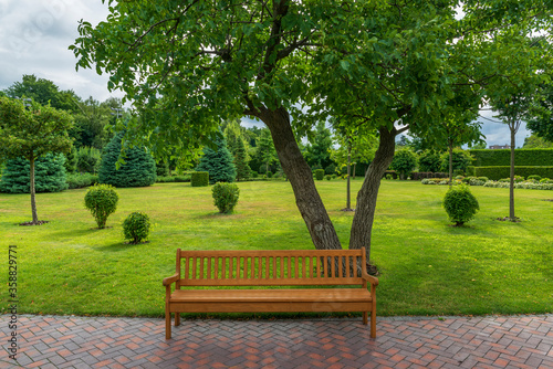 Fototapeta Wooden bench in the sunny park.