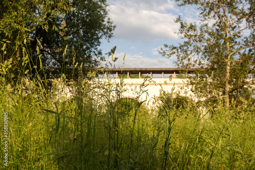 Tall grass in the Park. Summer in the city. Russia, Moscow, Rostokinskiy aqueduct photo