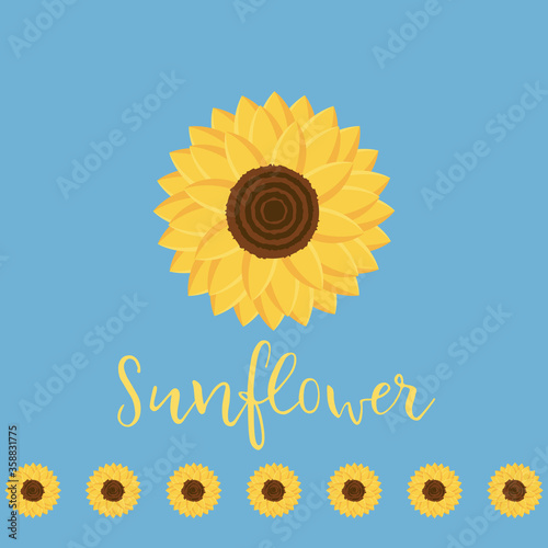 Fototapeta Naklejka Na Ścianę i Meble -  Yellow sunflower vector flower illustration, natural flora on a light background. Isolated sunflower on blue background