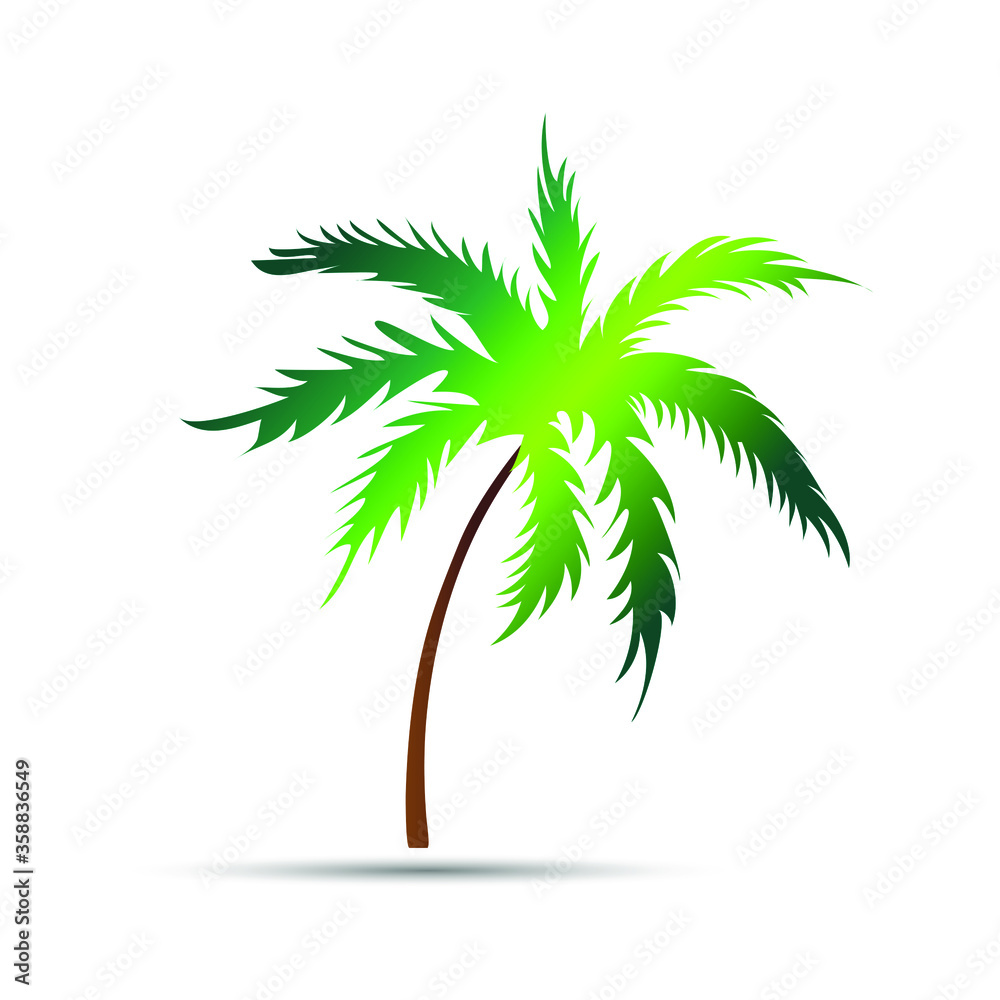 palm tree isolated on white background in vector format
