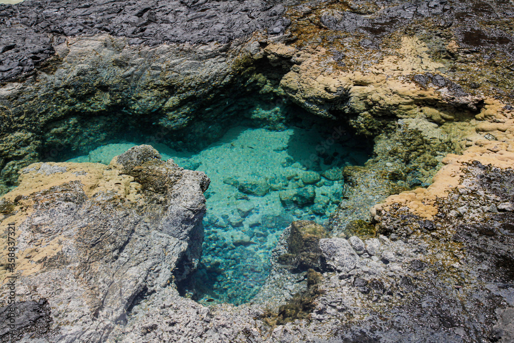natural swimming pool in Fernando de Noronha island
natural swimming pool in Fernando de Noronha island