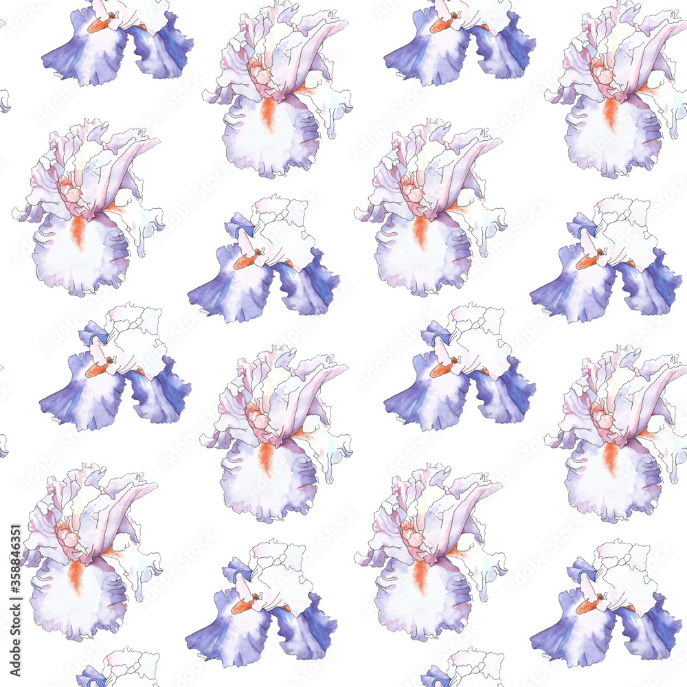 Obraz premium Watercolor pattern of purple irises on a white background.