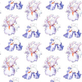 Watercolor pattern of purple irises on a white background.