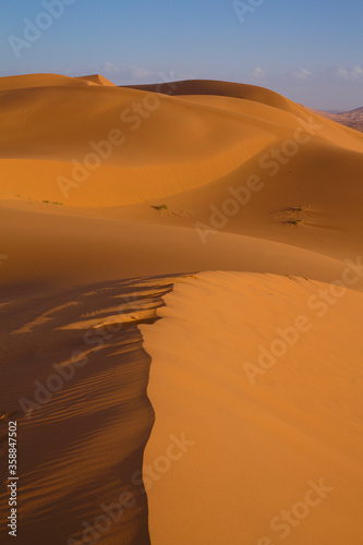 Golden light in the desert in Merzouga, Morocco