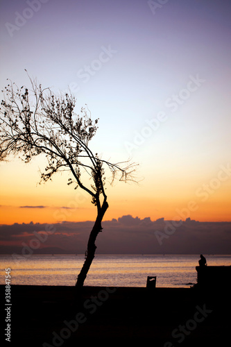 Tree and a Lonely Man near the Seaside