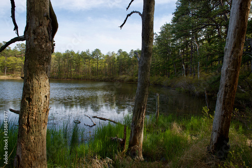 Lake with refection and trees during the summer in Long Island, NY