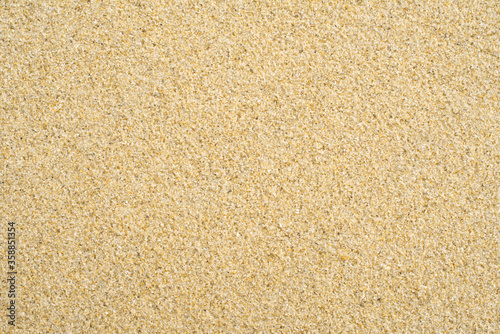 Clean sandy beach seamless texture background