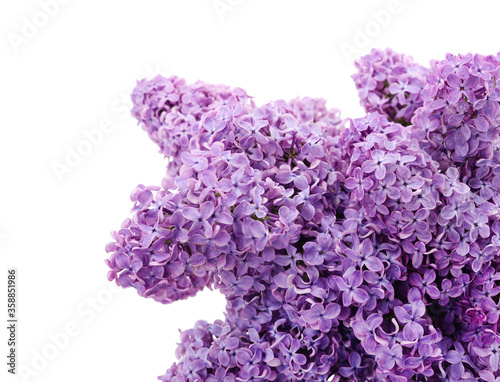 Bouquet of beautiful lilacs.