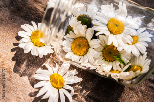 Chamomile flowers in a glass jar on a wooden brown old background. Medication concept. Cosmetology. Perfume