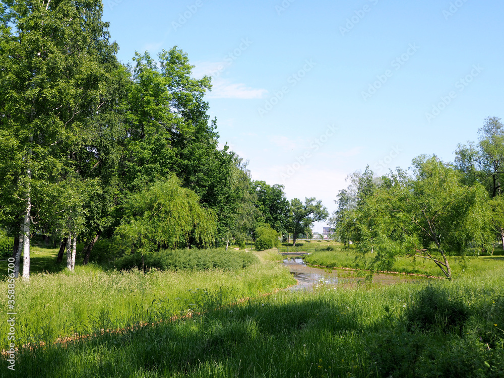 landscape of a summer city Park landscape of a summer city Park