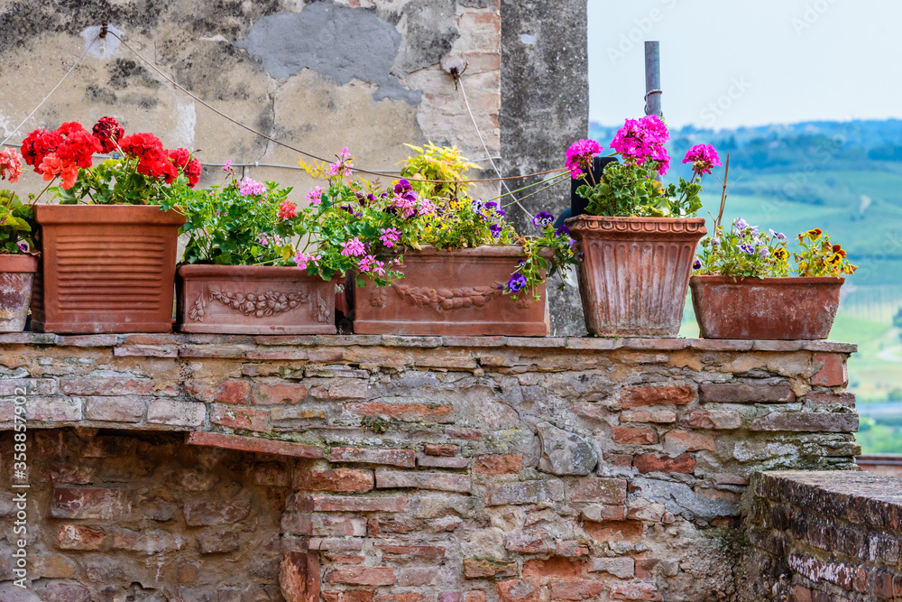 Certaldo, Tuscany, Italy: A row of ceramic pots of bright pink and red geraniums on a wall in the medieval upper part of town called Certaldo Alto.