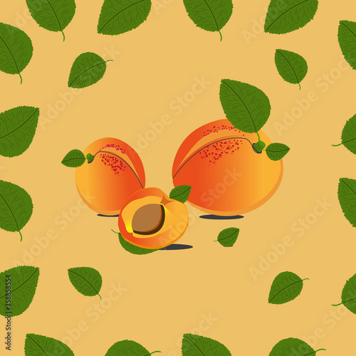 Fototapeta Naklejka Na Ścianę i Meble -  Seamless pattern APRICOT. The image can be used as a design element,  like a label jars of jam, in the textile industry cosmetics, in the interior