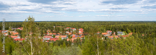 Private houses in the forest, aerial photography. Ecology and lifestyle